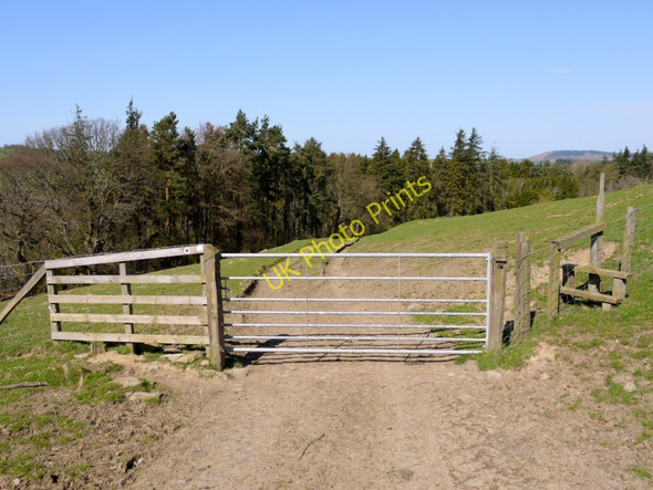 Photo 6"x4" Bridleway west of Overthwarts Edlingham c2011