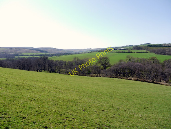 Photo 6"x4" Field south-west of Overthwarts Edlingham c2011
