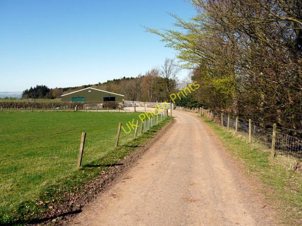 Photo 6"x4" Farm track north-east of Overthwarts Farm Edlingham c2011