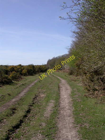 Photo 6"x4" Blackhamsley, path South Weirs c2011