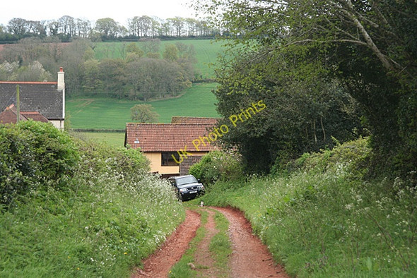 Photo 6"x4" Cullompton: nearing Colebrook Colebrook c2011