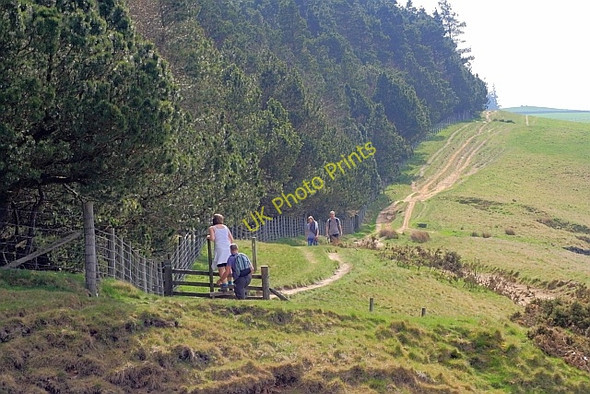 Photo 6"x4" Public Bridleway along Haggside Ridge Edale End c2011