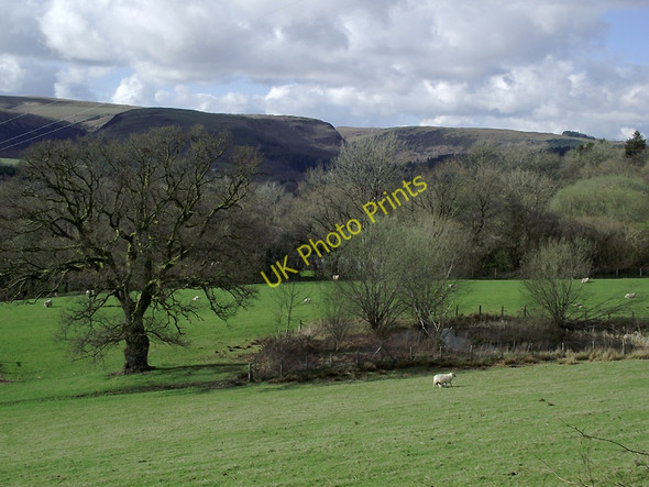 Photo 6"x4" Pasture south of Rhandirmwyn, Carmarthenshire Cilycwm c2011