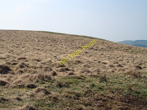 Photo 6"x4" Grassland at Cefn Coch Cwmystwyth c2011