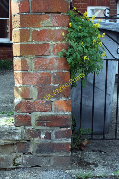 Photo 6"x4" Benchmark on the end of the party wall between #140 and #142 Wantage Road Reading c2011