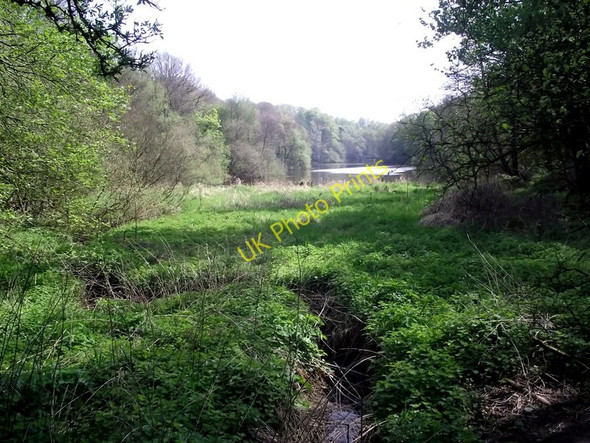 Photo 6"x4" Looking towards the Serpentine Biddulph c2011