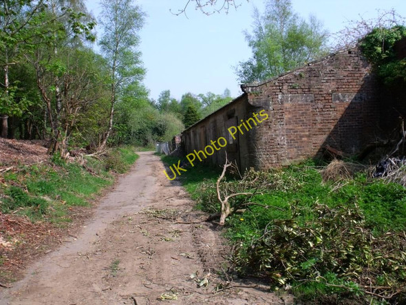 Photo 6"x4" Larbert House Estate North Broomage c2011