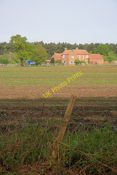Photo 6"x4" Blackwood Farm Crockey Hill c2011