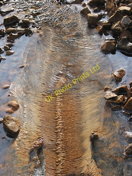 Photo 6"x4" Curious scum on Linford Brook, New Forest Linwood\/SU1809 c2006