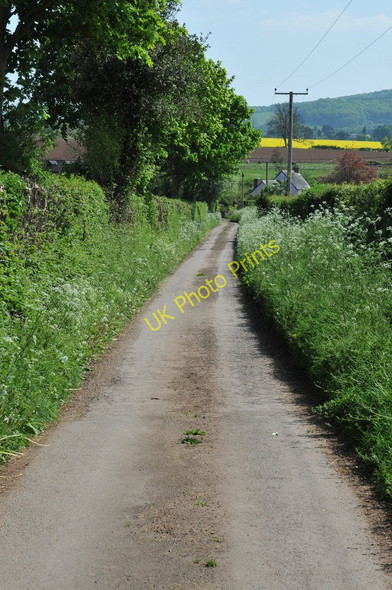 Photo 6"x4" Lane at Bury Hill Bromsash c2011