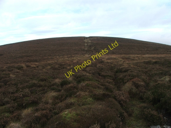 Photo 6"x4" Naughtberry Hill. Cray\/SD9479 c2006