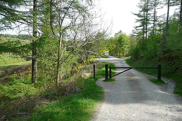 Photo 6"x4" Approaching High Cross car park Hawkshead Hill c2011