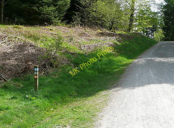 Photo 6"x4" Cycle trails on Hawkshead Moor Roger Ground c2011