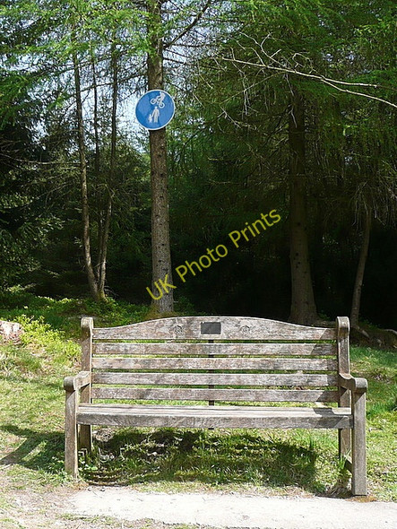 Photo 6"x4" Seat and a sign Grizedale c2011