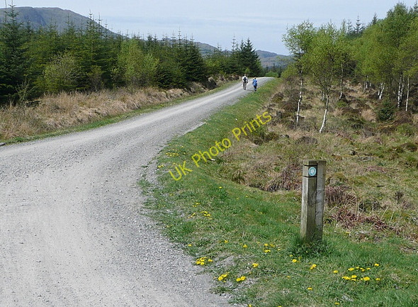 Photo 6"x4" Trail through Hawkshead Hall Park Hawkshead Hill c2011