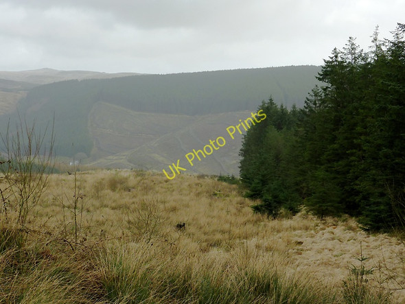 Photo 6"x4" Tywi Forest on Esgair Gors, Ceredigion Nant Cwm-du\/SN7955 c2011