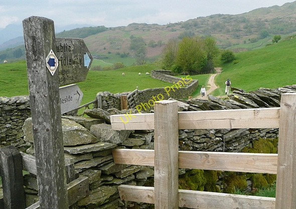 Photo 6"x4" Bridleway to High Skelghyll Ambleside c2011