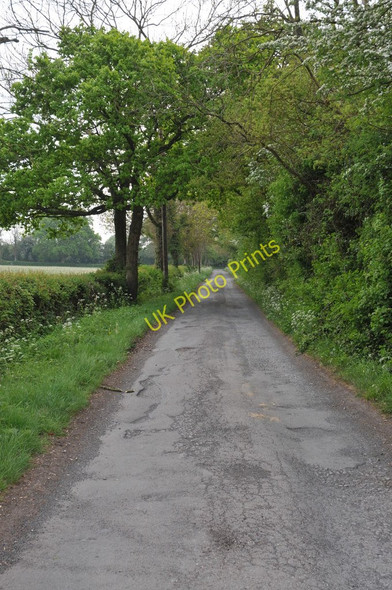 Photo 6"x4" Quiet country road Stock Green c2011