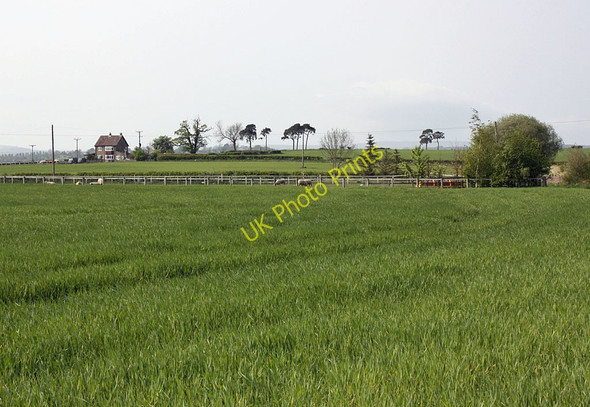 Photo 6"x4" Cereal crop Normanby\/SE7381 c2011