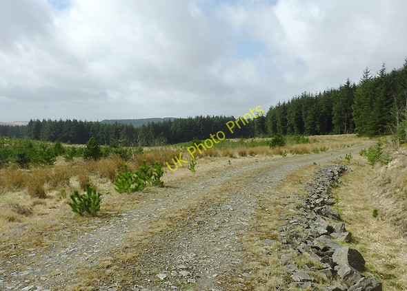 Photo 6"x4" Tywi Forest road on Esgair Ganol, Ceredigion Esgair Ganol\/SN7854 c2011