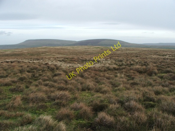 Photo 6"x4" Moorland on Wassett Fell above Bishopdale. Newbiggin\/SD9985 c2006