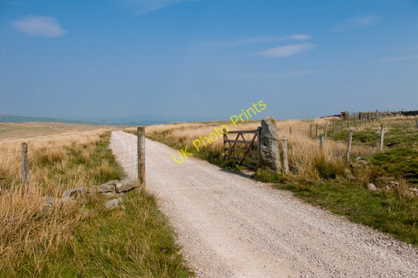 Photo 6"x4" Gate on The Hornby Road below Hawkshead Hawkshead\/SD6360 c2011