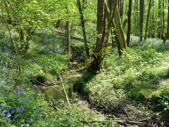 Photo 6"x4" Stream between Nap and Colesgrove Woods Mark Cross\/TQ5831 c2011