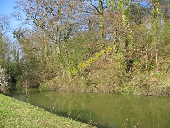 Photo 6"x4" Anstey Castle Anstey\/TL4032 c2010