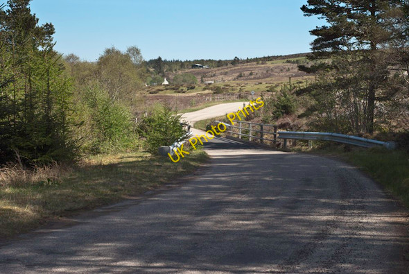 Photo 6"x4" Wee bridge near the forest trails Achnahanat c2011