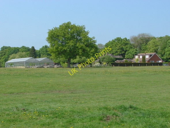 Photo 6"x4" Rural scene, Windlesham Hatton Hill\/SU9364 c2011