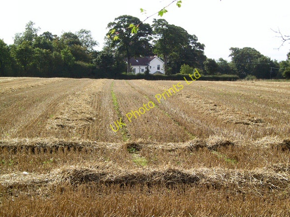 Photo 6"x4" After the Harvest Bebington c2005