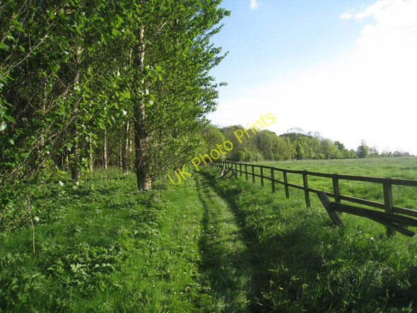 Photo 6"x4" Heading towards the railway and Pond Close Wood Croxton\/TA0912 c2011