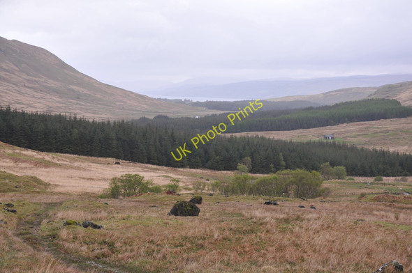 Photo 6"x4" Glen Forsa Tomsl\u00e8ibhe c2011