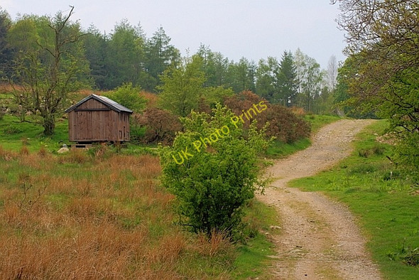 Photo 6"x4" Chicken Coop by a Track Birkett Mire c2011