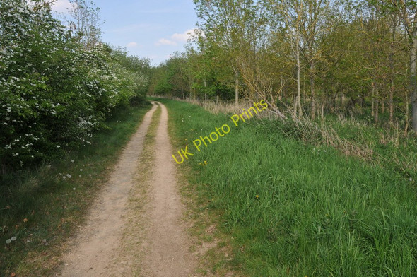 Photo 6"x4" Thames Path near Hailstone Hill Cricklade c2011