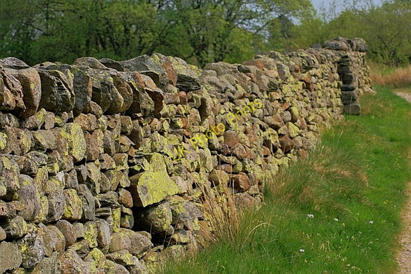 Photo 6"x4" Drystone Wall Near Guardhouse Scales\/NY3426 c2011