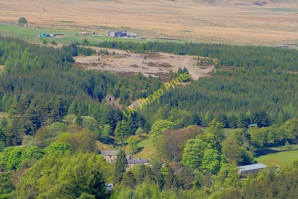 Photo 6"x4" School Plantation Allenheads c2011