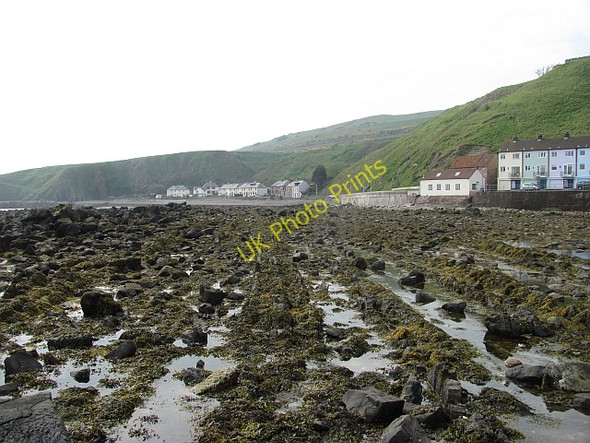 Photo 6"x4" Beach, Burnmouth, Berwickshire Ross\/NT9660 c2011