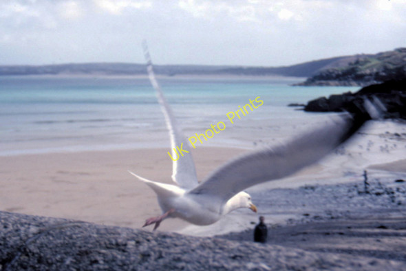 Photo 6"x4" St Ives Bay - 1987 St Ives\/SW5140 c1987