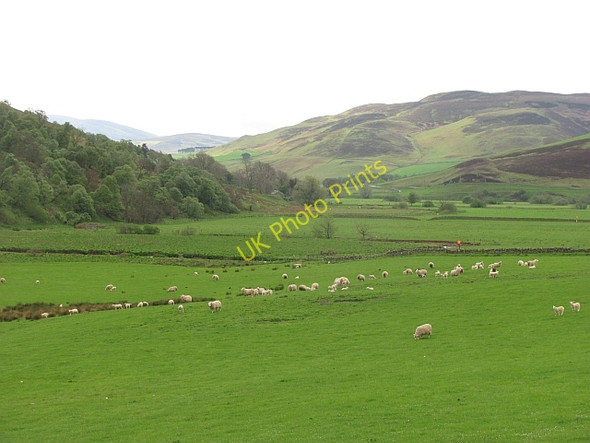 Photo 6"x4" Lyne Water Bordlands c2011