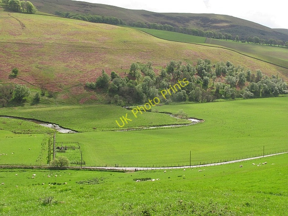 Photo 6"x4" Lyne Water Bordlands c2011