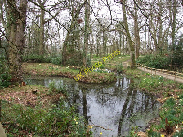 Photo 6"x4" Pond, Lulworth Castle East Lulworth c2009