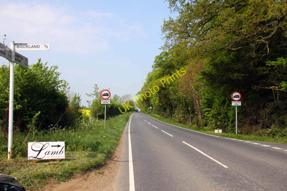 Photo 6"x4" The road to Bampton Buckland\/SU3498 c2011