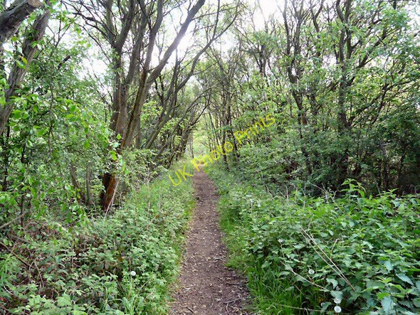 Photo 6"x4" Where have the trains gone? Hyde\/SJ9494 c2011