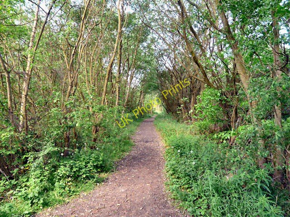 Photo 6"x4" Where have the trains gone? Hyde\/SJ9494 c2011