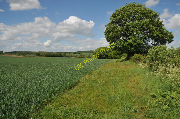 Photo 6"x4" Footpath to Wood Bevington Cock Bevington c2011