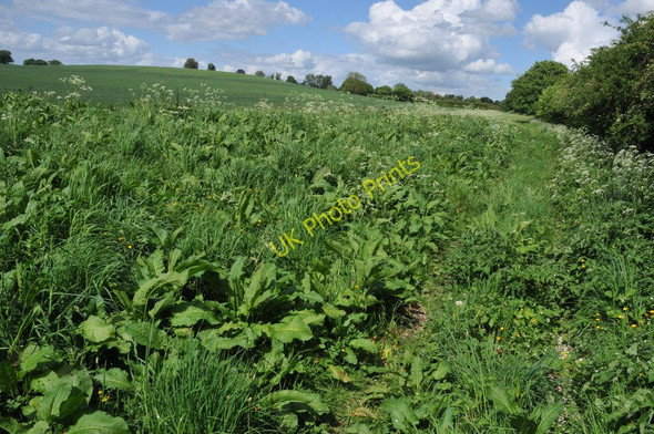 Photo 6"x4" Footpath to Wood Bevington Wood Bevington c2011