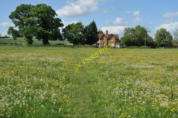 Photo 6"x4" Footpath to Dunnington Salford Priors c2011
