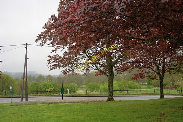 Photo 6"x4" Open Space Aberfoyle c2011
