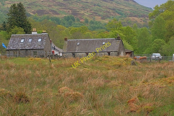 Photo 6"x4" Achray Farm Brig o' Turk c2011